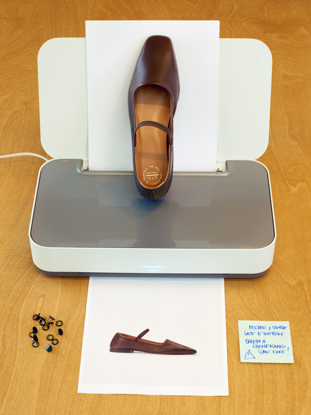 Petina Walnut Nappa Mary Jane Flats | ATP Atelier | Official